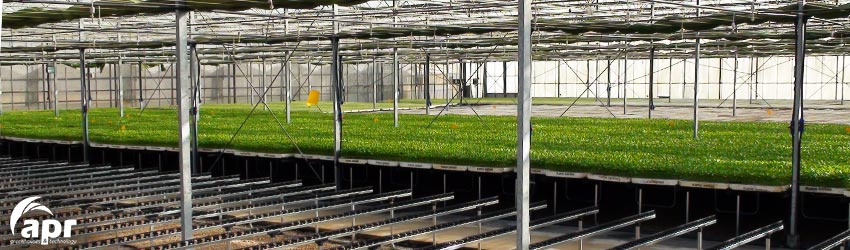 seeds greenhouse apr