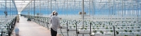 Novedades Agricolas install a greenhouse over 10 Has. in Turkey
