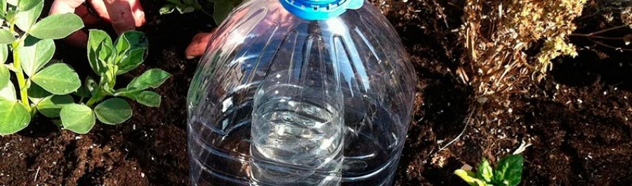 Cómo hacer un sistema de riego por goteo ecológico con una botella