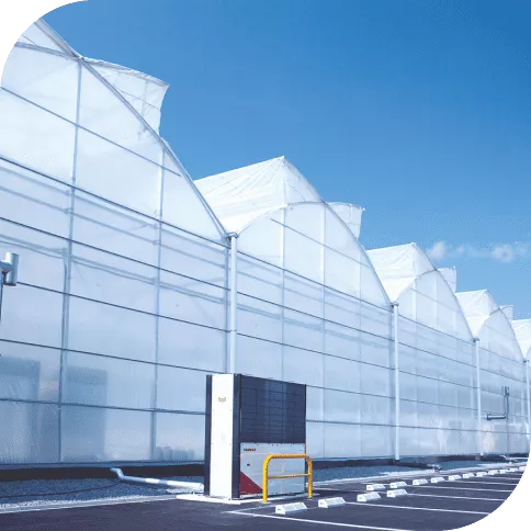 Copolímero etileno vinilacetato