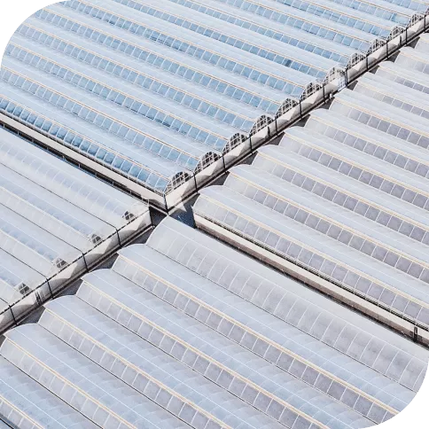 Policloruro de vinilo